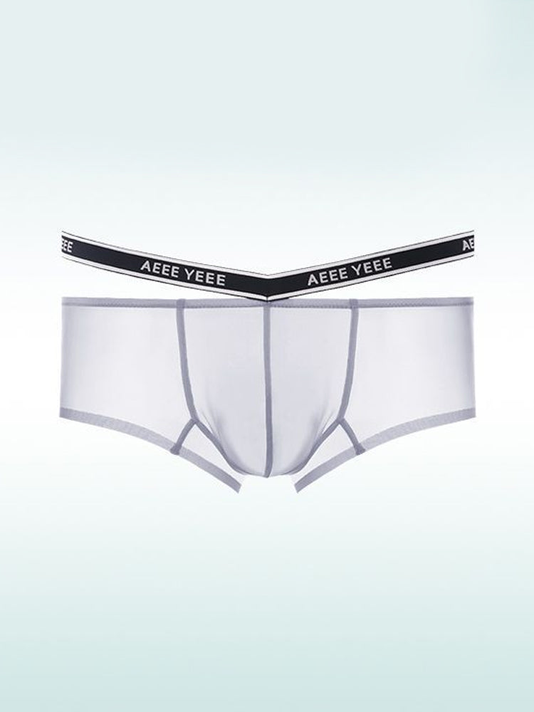 Men's Transparent Ice Silk Waistband Separate Briefs | dmunderwear detail image 2