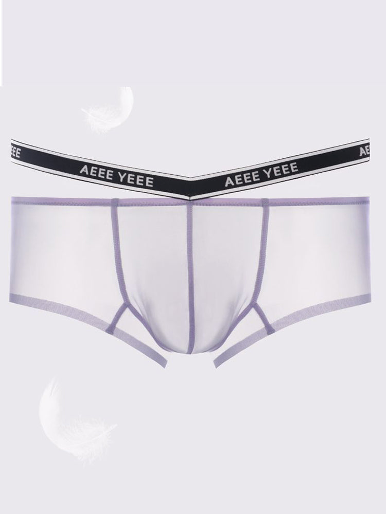 Men's Transparent Ice Silk Waistband Separate Briefs | dmunderwear detail image 4