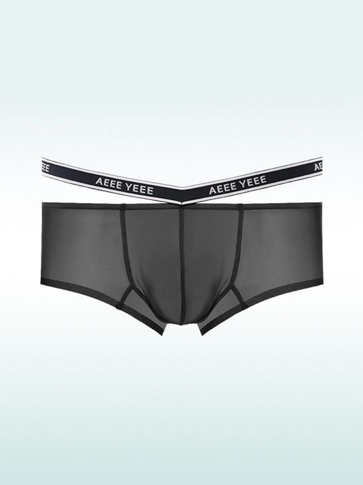 Men's Transparent Ice Silk Waistband Separate Briefs | dmunderwear detail image 9