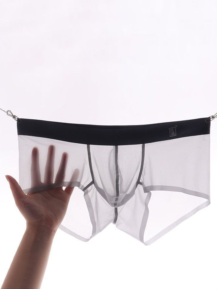 Men's Transparent Sexy Ice Silk Seamless Boxer Briefs | dmunderwear