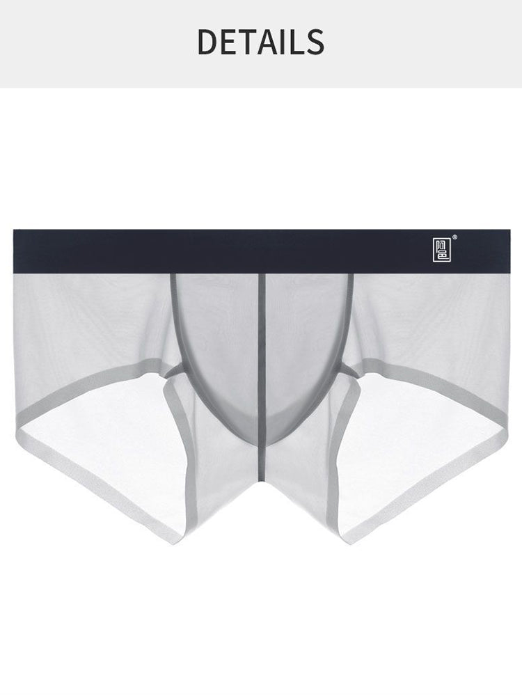 Men's Transparent Sexy Ice Silk Seamless Boxer Briefs | dmunderwear detail image 3