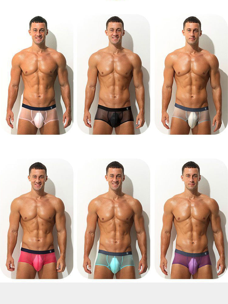 Men's Transparent Sexy Ice Silk Seamless Boxer Briefs | dmunderwear detail image 8