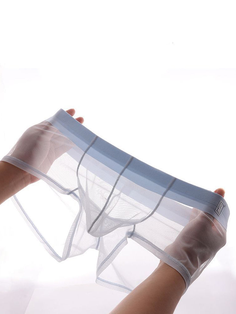 Men's Ultra-thin Low-Rise See-Through Ice Silk Briefs | dmunderwear