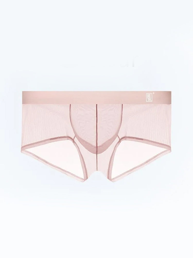 Men's Ultra-thin Low-Rise See-Through Ice Silk Briefs | dmunderwear detail image 17