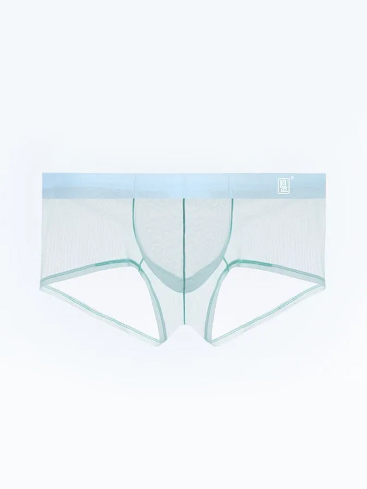 Men's Ultra-thin Low-Rise See-Through Ice Silk Briefs | dmunderwear detail image 18