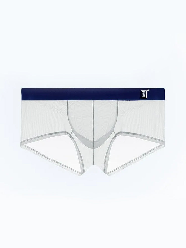Men's Ultra-thin Low-Rise See-Through Ice Silk Briefs | dmunderwear detail image 2