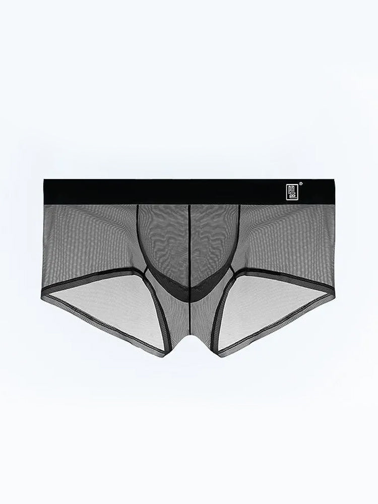 Men's Ultra-thin Low-Rise See-Through Ice Silk Briefs | dmunderwear detail image 9