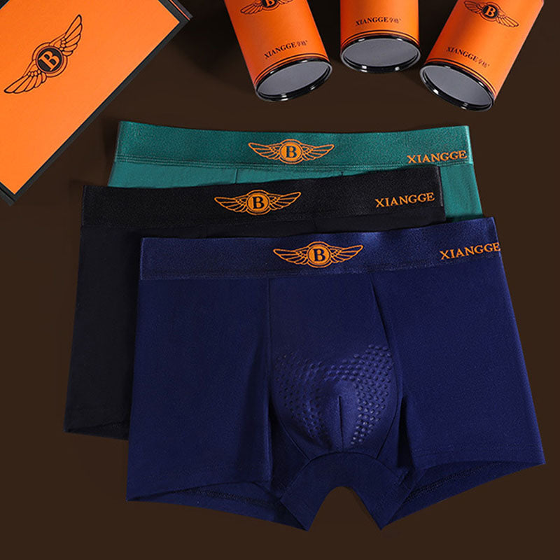 Men's underwear Warm Modal Tomalin boxer shorts boxers | dmunderwear detail image 6