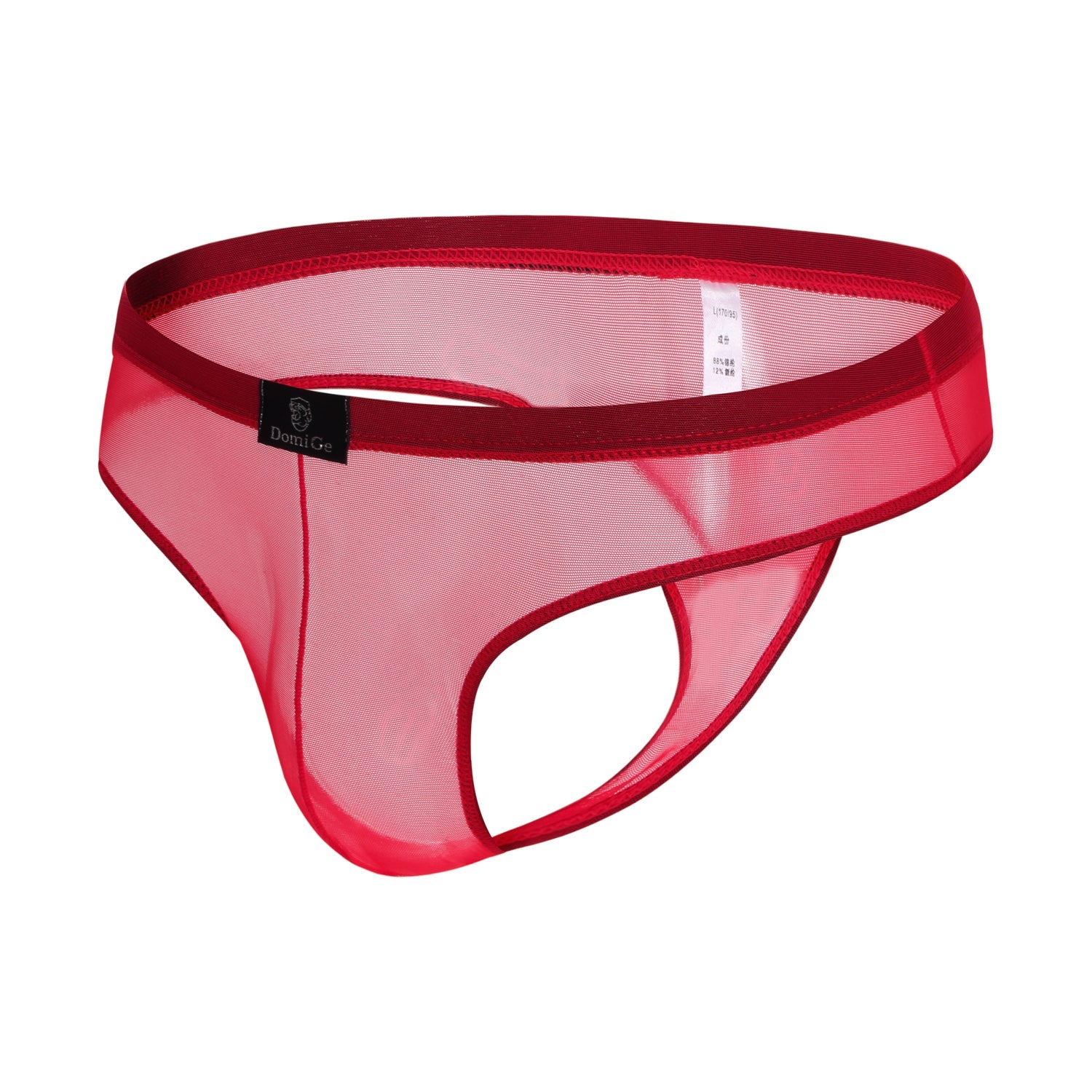 Mesh Bikini G-String Thong 5532 | dmunderwear detail image 2
