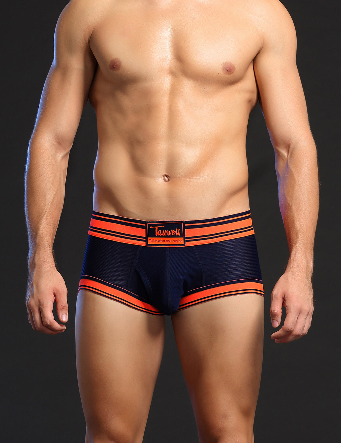 Mesh Boxer Briefs 1201 | dmunderwear detail image 8