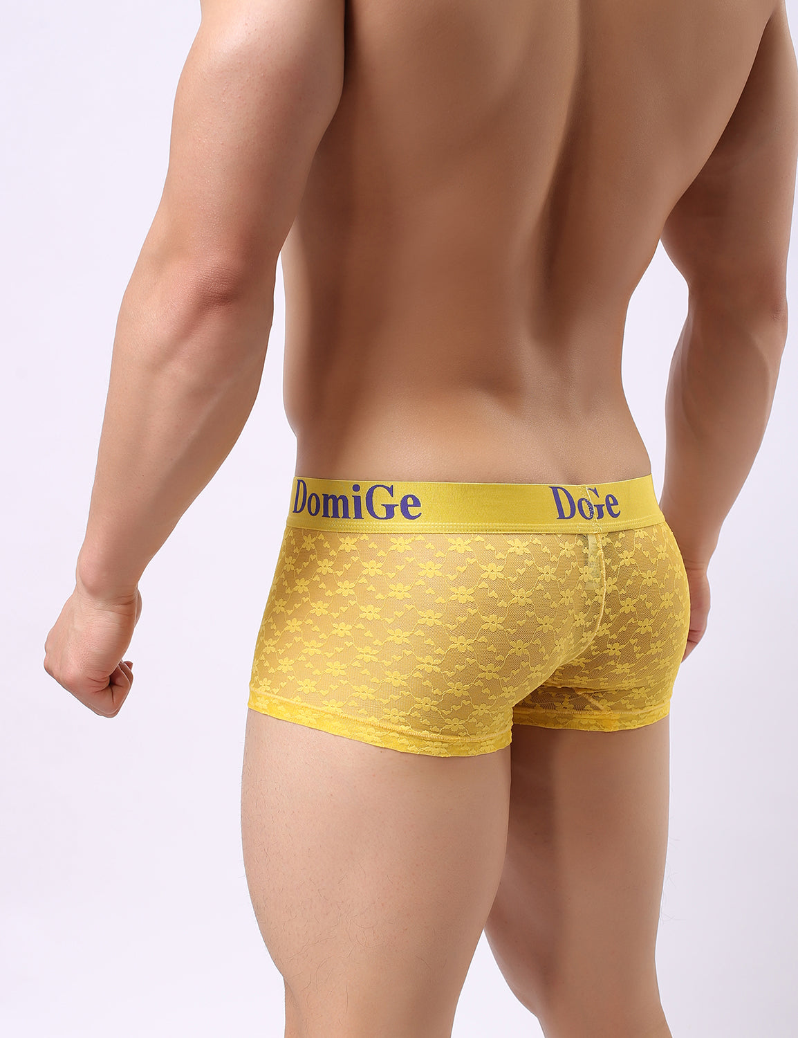 Mesh Boxer Briefs 5230 | dmunderwear detail image 11