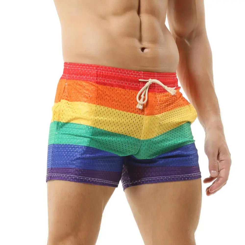 Mesh Rainbow Board Shorts | dmunderwear detail image 3