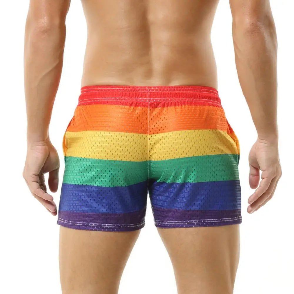 Mesh Rainbow Board Shorts | dmunderwear product image 2
