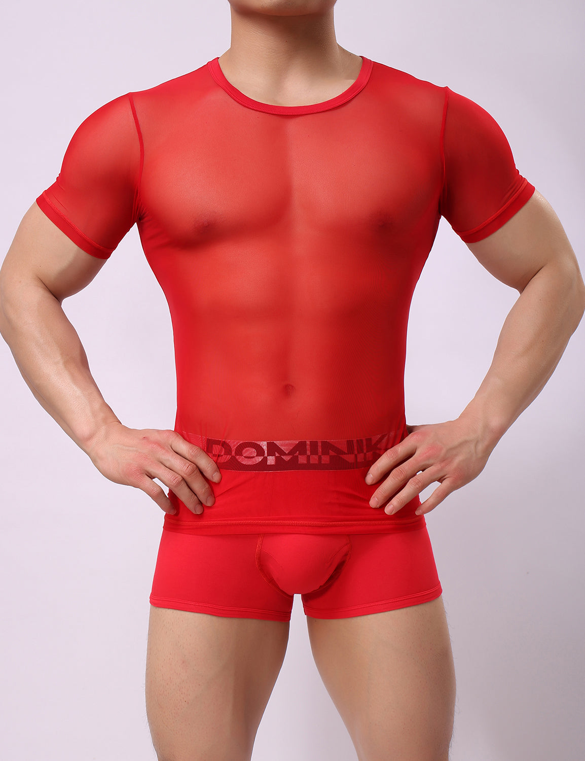 Mesh Short Sleeve T-Shirt 8327 | dmunderwear detail image 11