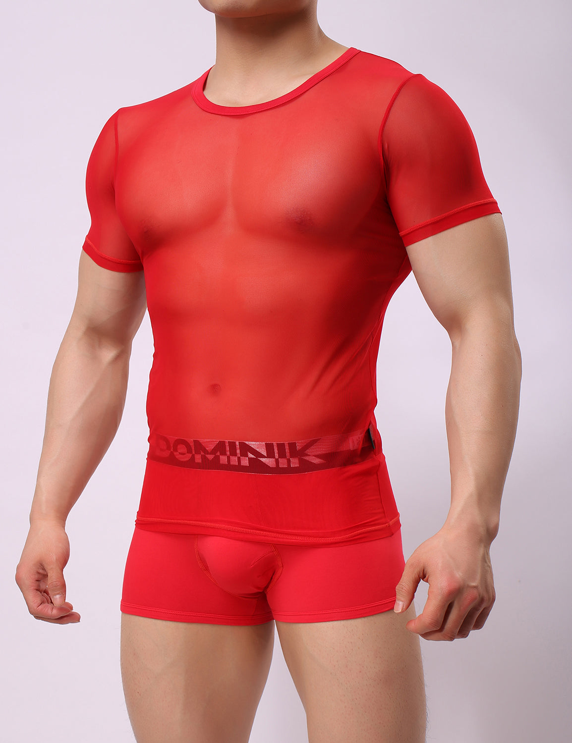 Mesh Short Sleeve T-Shirt 8327 | dmunderwear detail image 17