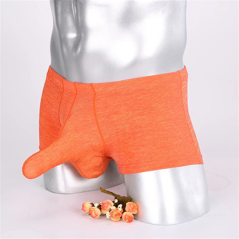 Modal Show-It Boxer Briefs | dmunderwear detail image 3