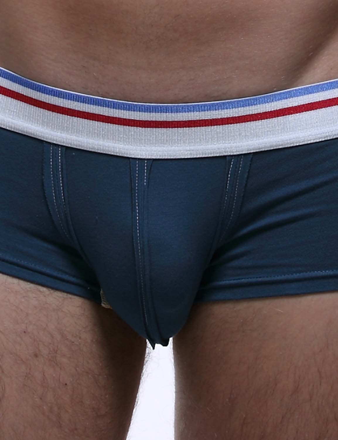 National Letter Reverse Sewing Boxer Brief 60207 | dmunderwear detail image 10