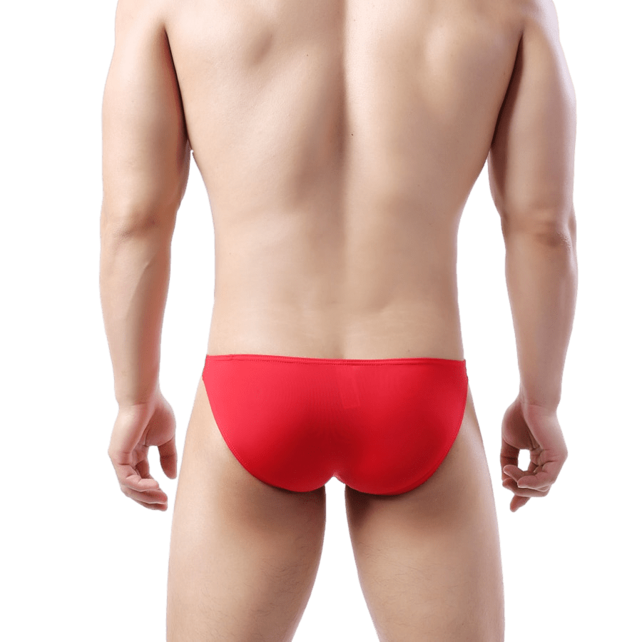 Nearly Naked Bikini Briefs | dmunderwear detail image 10