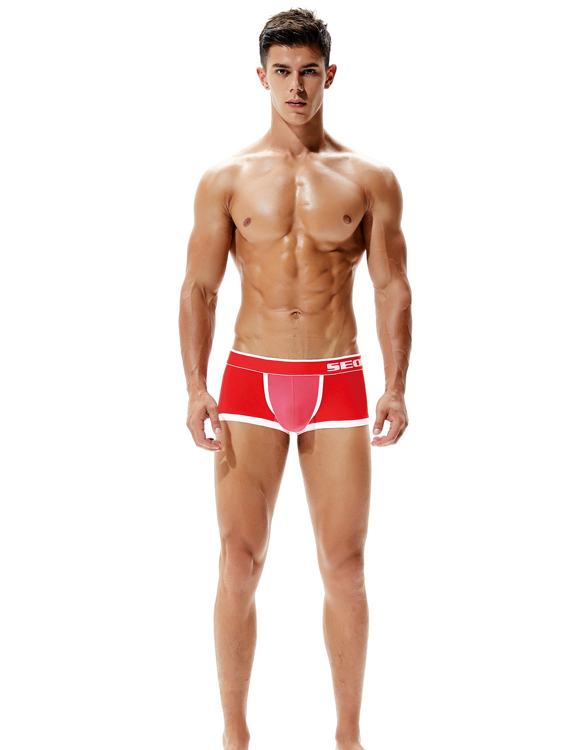 Nylon Low Rise Sexy Nylon Boxer Brief 90205 | dmunderwear detail image 8
