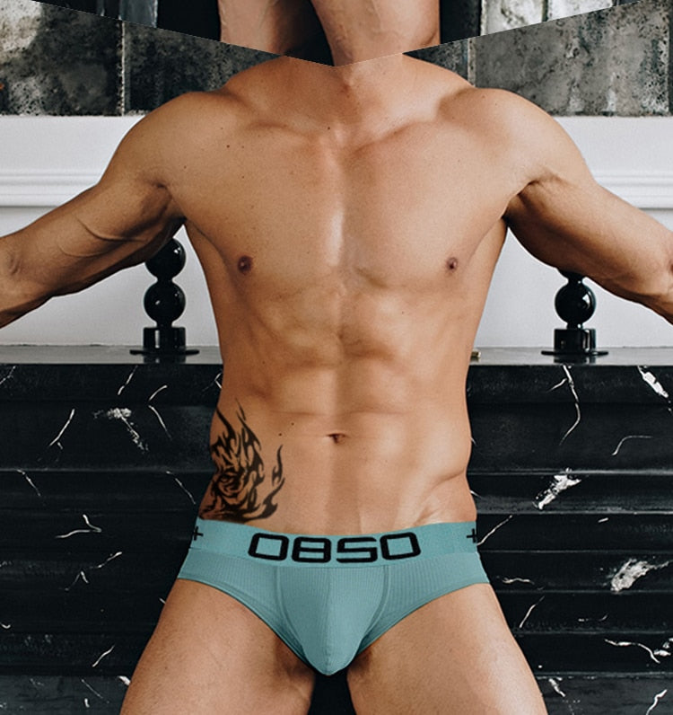 OBSO Muted Briefs | dmunderwear detail image 10