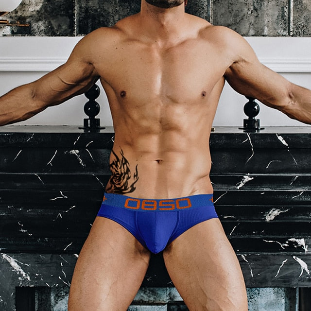 OBSO Muted Briefs | dmunderwear detail image 13