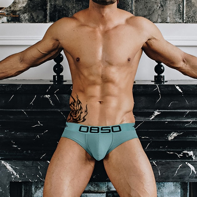 OBSO Muted Briefs | dmunderwear detail image 6