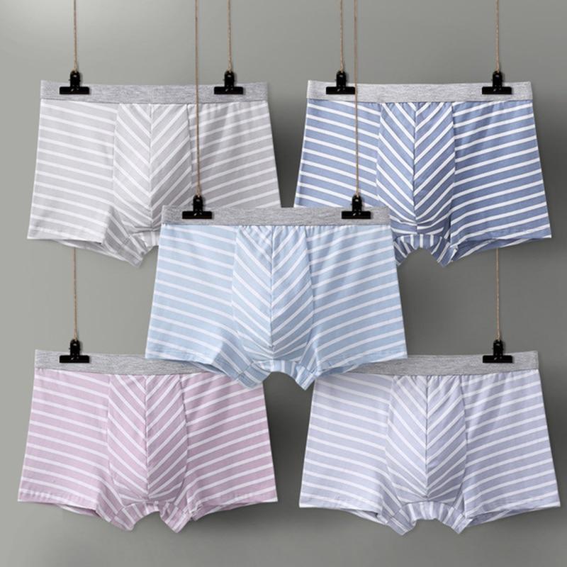 Pastel Striped Boxer Briefs 5-Pack | dmunderwear detail image 3