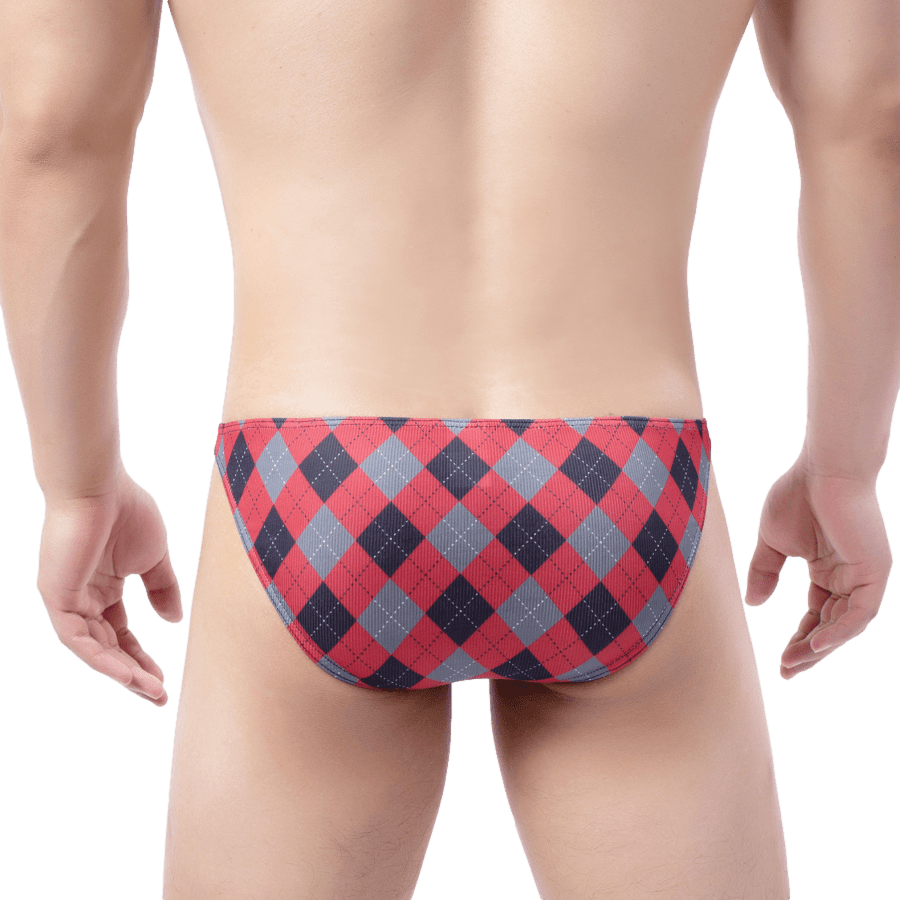 Plaid Bikini Briefs | dmunderwear detail image 8