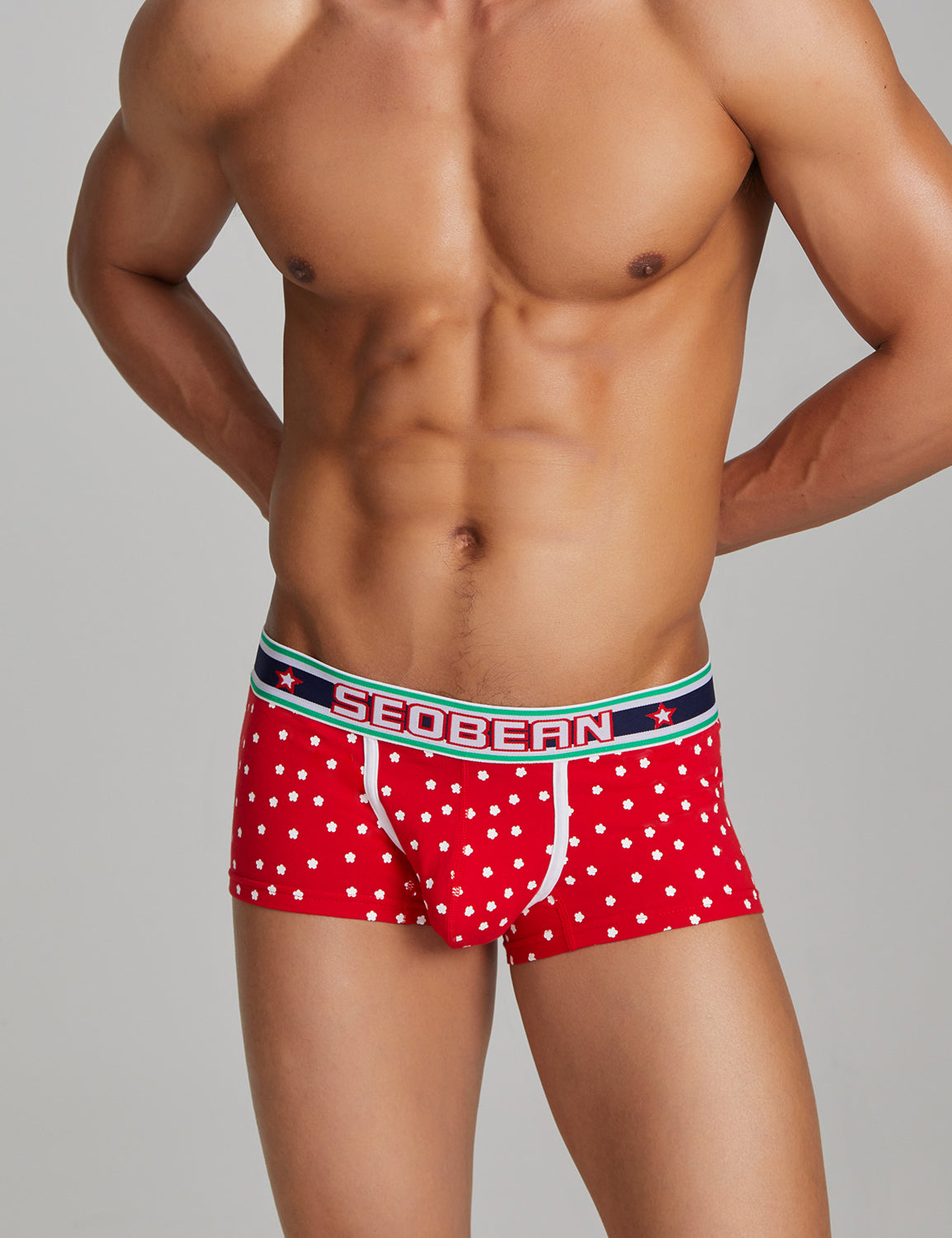 Plum Flower Boxer Brief 220210 | dmunderwear detail image 14