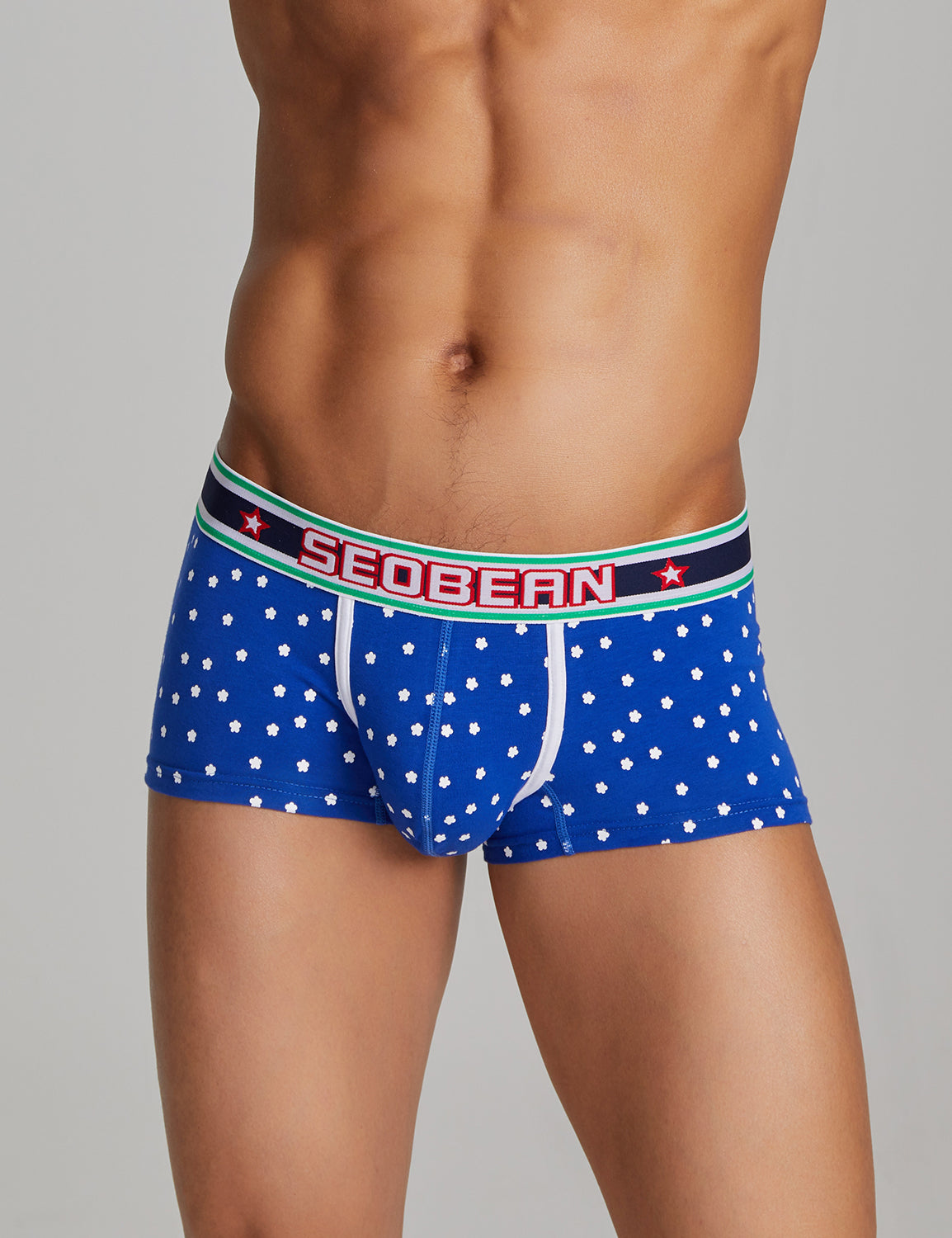 Plum Flower Boxer Brief 220210 | dmunderwear detail image 3