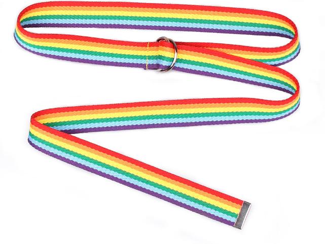 ORVLS Pride Belt | dmunderwear product image 2