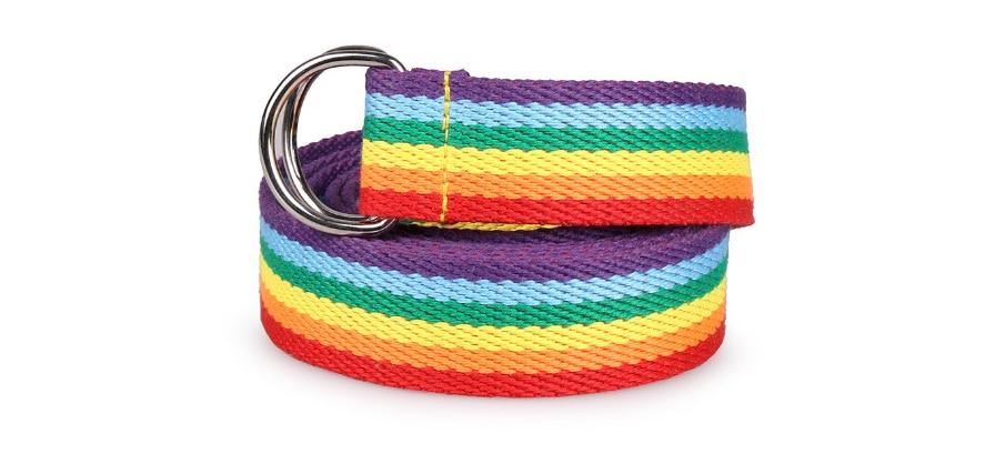 ORVLS Pride Belt | dmunderwear product image 3