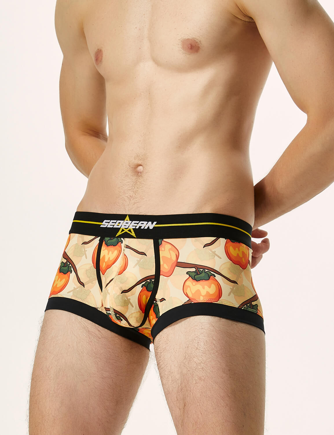 Pumpkin Boxer Brief 220203 | dmunderwear