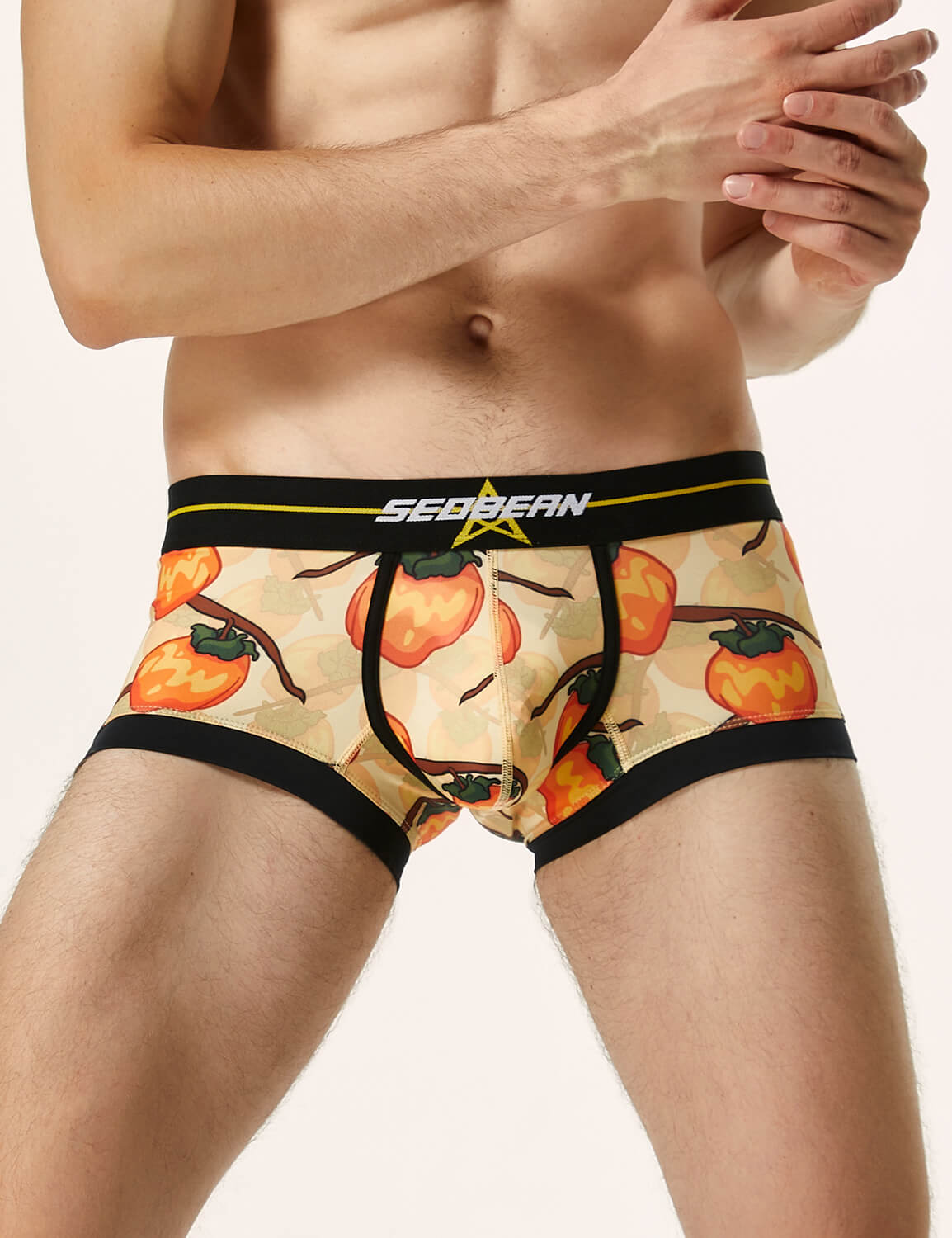 Pumpkin Boxer Brief 220203 | dmunderwear detail image 3