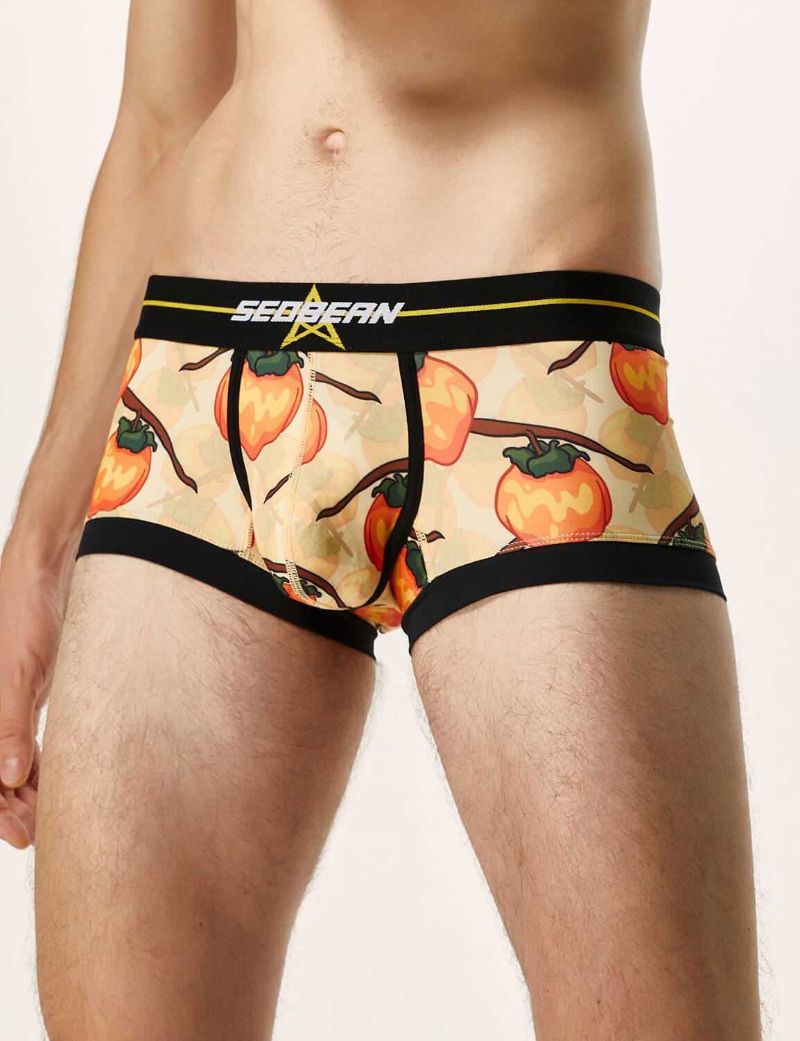 Pumpkin Boxer Brief 220203 | dmunderwear detail image 4
