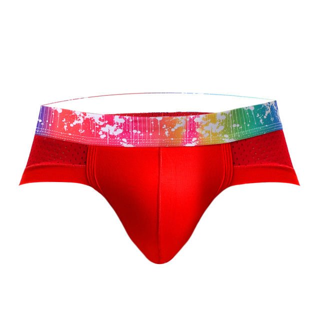 Rainbow Band Mesh Briefs | dmunderwear detail image 12