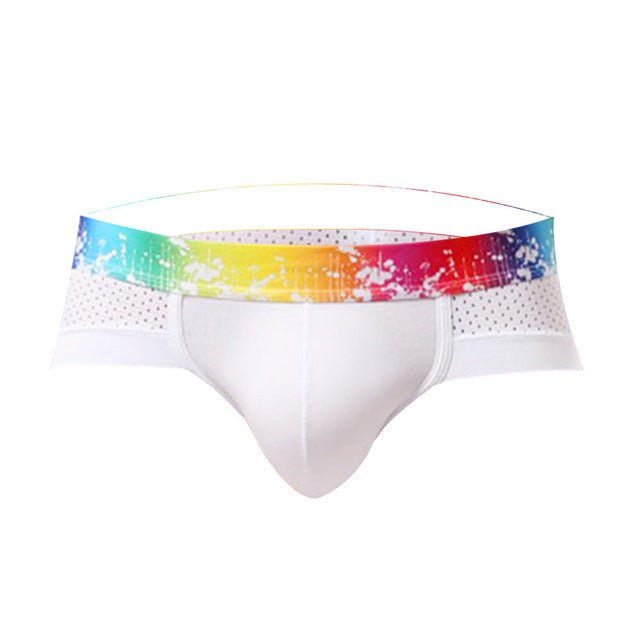 Rainbow Band Mesh Briefs | dmunderwear detail image 17