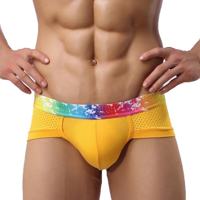 ORVLS Rainbow Band Mesh Briefs | dmunderwear detail image 9