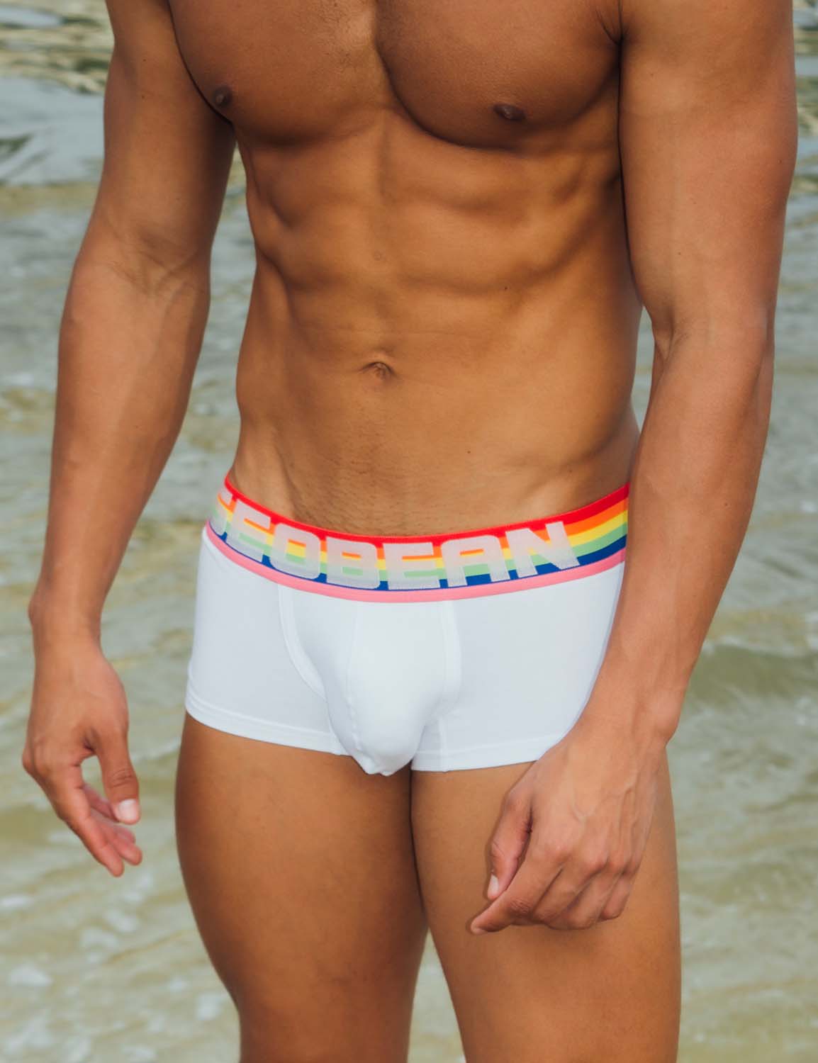 Rainbow Low Rise Boxer Brief 00213 | dmunderwear detail image 3