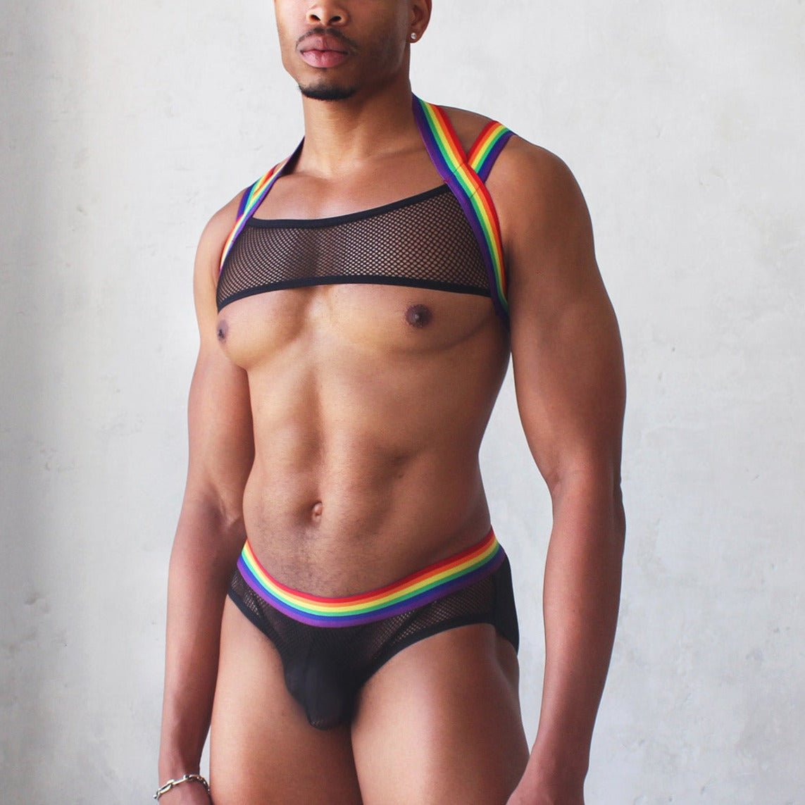 Rainbow Mesh Harness + Briefs | dmunderwear