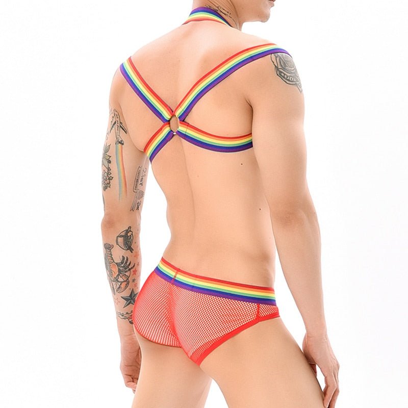 ORVLS Rainbow Mesh Harness + Briefs | dmunderwear detail image 9