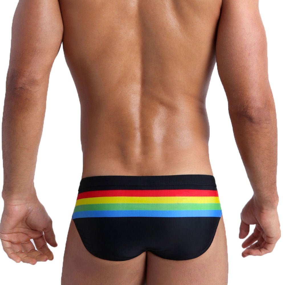 Ringaround Rainbow Swim Briefs | dmunderwear detail image 9