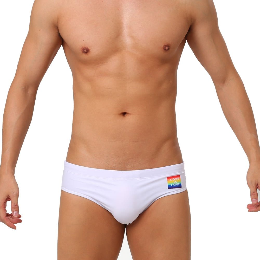ORVLS Ringaround Rainbow Swim Briefs | dmunderwear detail image 3