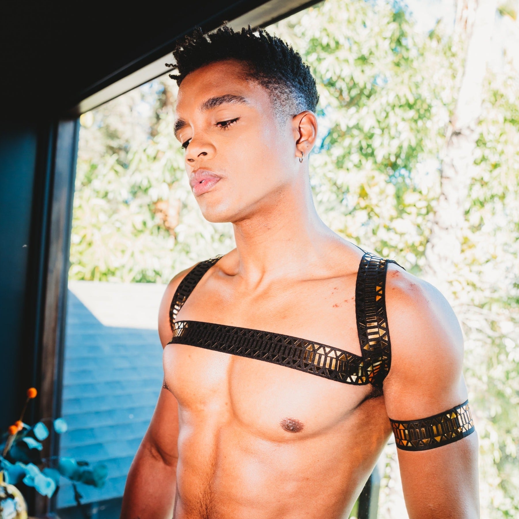 ORVLS Roman Metallic Chest Harness + Armband | dmunderwear