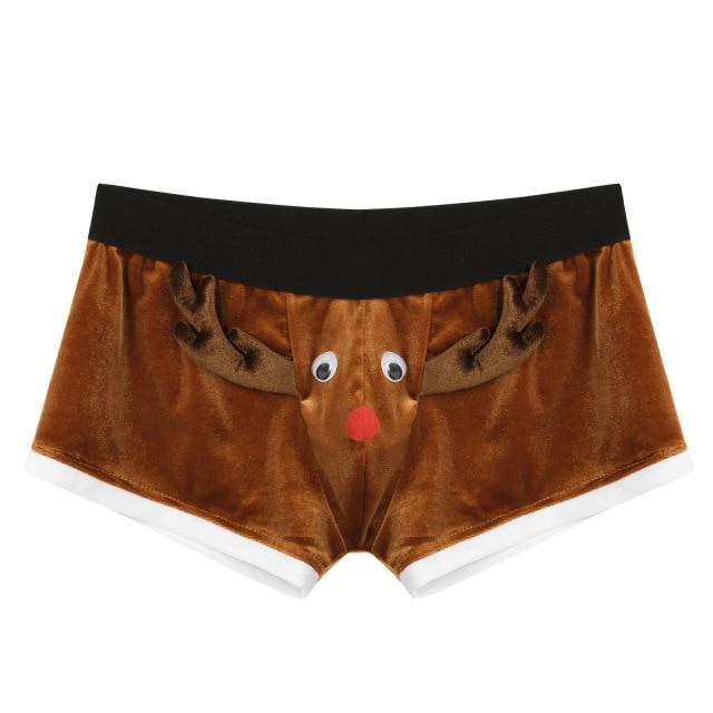 Rudolph Boxer Shorts | dmunderwear detail image 2