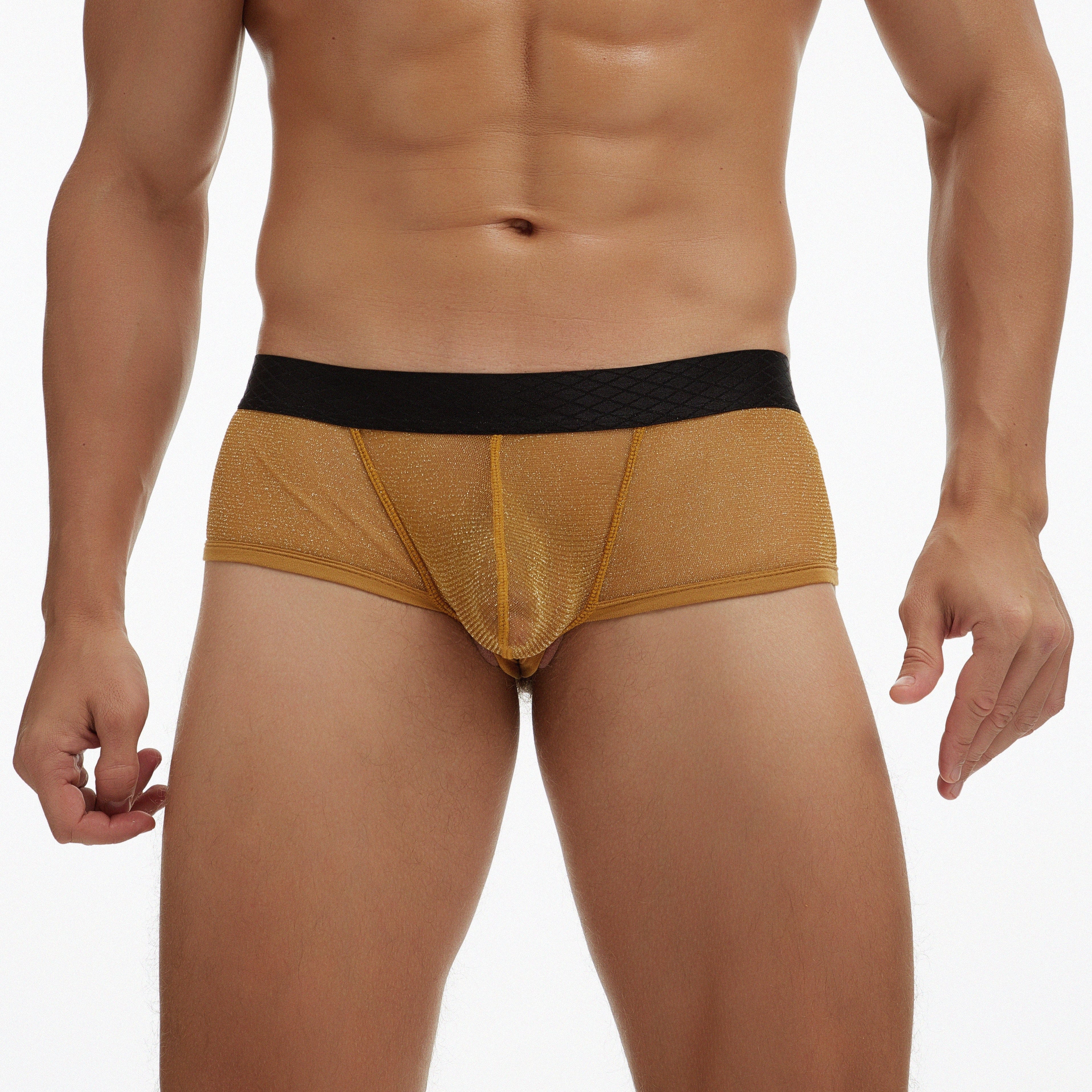 Scandalous Cheeky Briefs | dmunderwear detail image 10