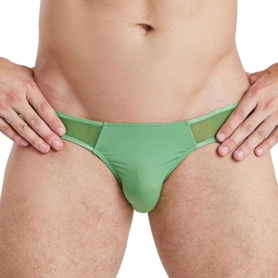 Seductive Sheer Bikini Briefs | dmunderwear