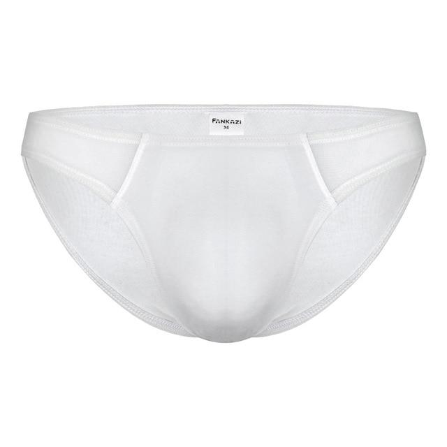Seductive Sheer Bikini Briefs | dmunderwear detail image 11
