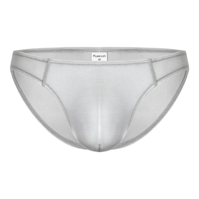 Seductive Sheer Bikini Briefs | dmunderwear detail image 13