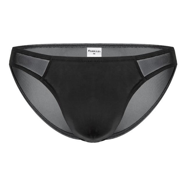 Seductive Sheer Bikini Briefs | dmunderwear detail image 15